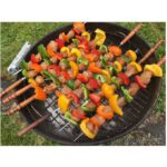 Grillage et 12 piques brochettes Transportable