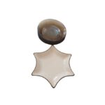 Pack de 6 plats de service cinq en verre une en porcelaine